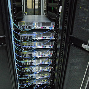 葫芦岛案例展示